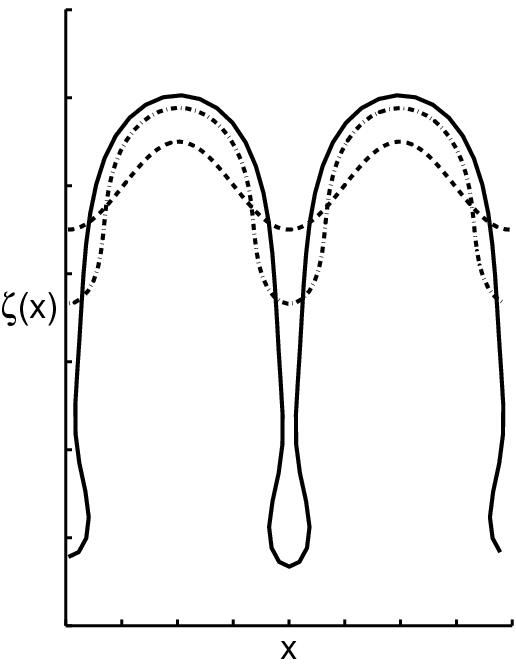 typical mophologies in directional solidification